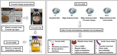 Novel Coconut Vinegar Attenuates Hepatic and Vascular Oxidative Stress in Rats Fed a High-Cholesterol Diet